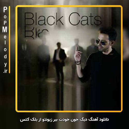 دانلود آهنگ بلک کتس دیگ جون خودت ببر زبونتو